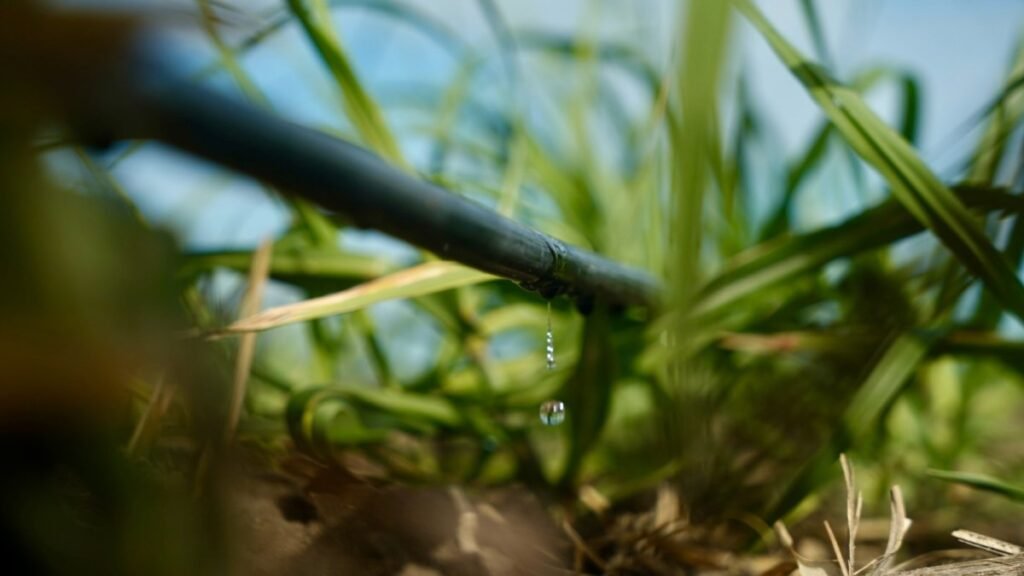 Aprovechamiento del Agua para Cultivos Más Productivos Aprovechamiento del Agua para Cultivos Más Productivos