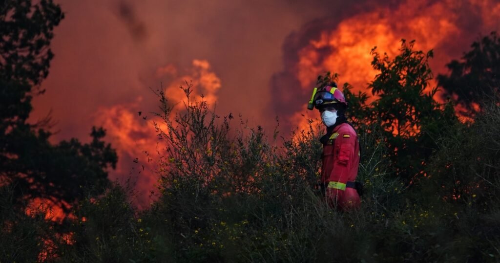 Incendios forestales en República Dominicana: un aumento alarmante del 57%