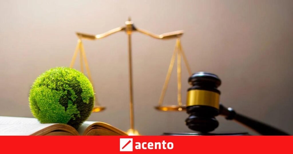 Justicia Dominicana Intensifica Su Lucha Contra Delitos Ambientales