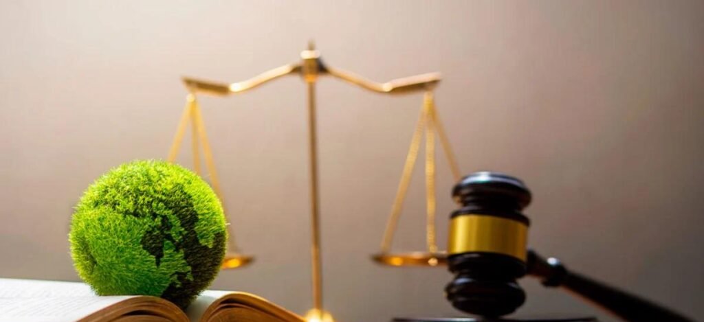 Justicia Dominicana Intensifica Su Lucha Contra Delitos Ambientales