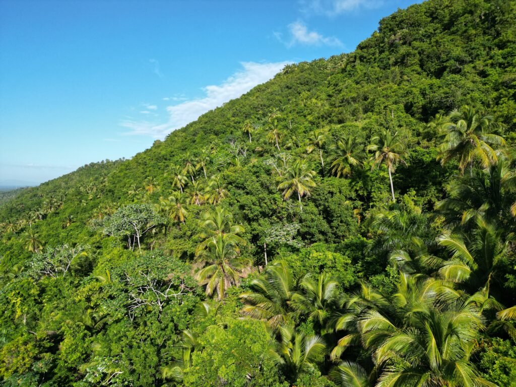 República Dominicana lanza plataforma de financiamiento climático con respaldo del