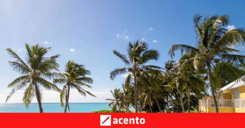 Tortuga Bay Punta Cana: Premio Michelin por su Excelencia en