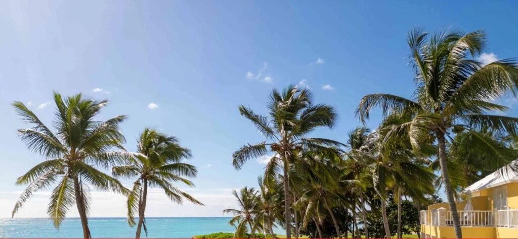 Tortuga Bay Punta Cana: Premio Michelin por su Excelencia en